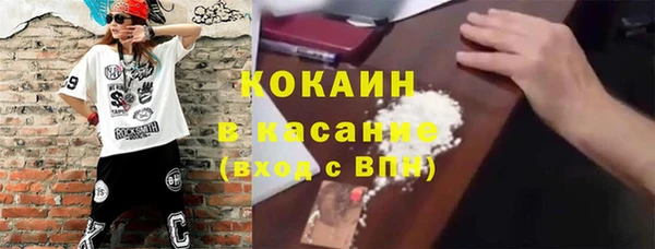 гашик Алексеевка