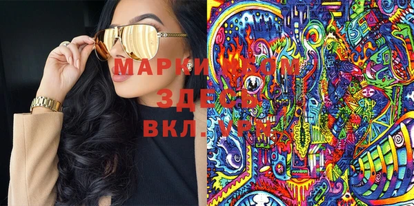 индика Алексин