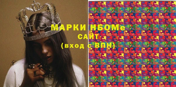 индика Алексин