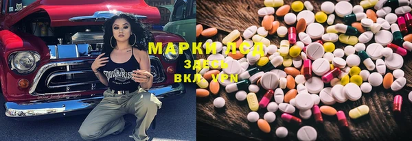 гашик Алексеевка