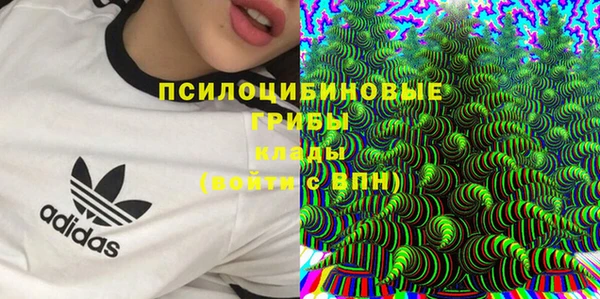 прущий лед Алзамай