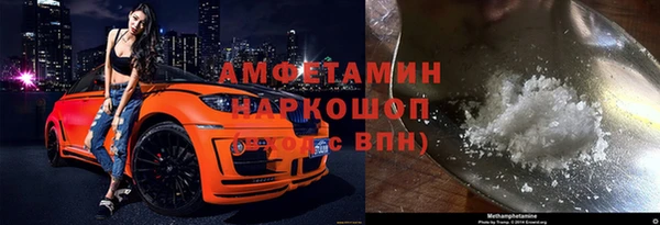 индика Алексин