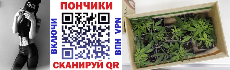 Шишки марихуана LSD WEED  Рославль 
